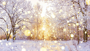 Winter Wonderland Destinations & Comfort Travel | Pillowpacker Pillows