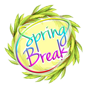 Spring Break Travel Comfort Essentials – Pillowpacker Pillows