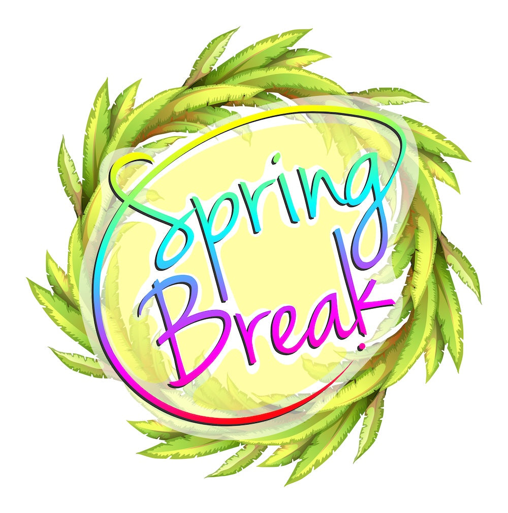 Spring Break Travel Comfort Essentials – Pillowpacker Pillows