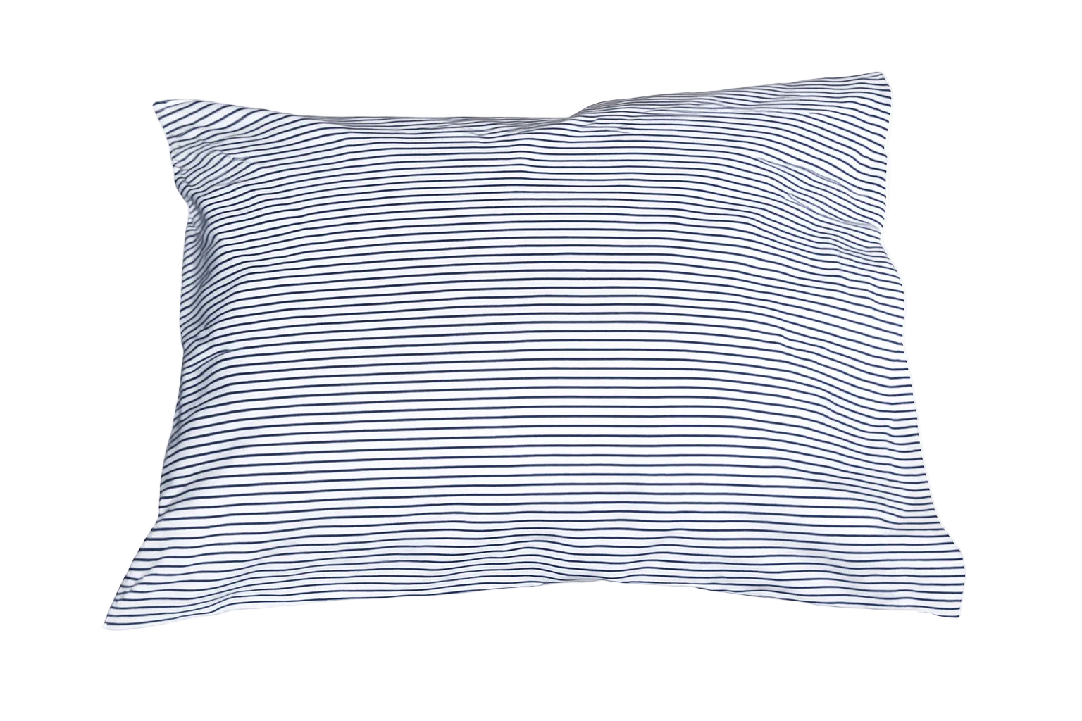 Oreillers de voyage gonflables luxueux en duvet d'oie blanche huttérite - 800 Loft